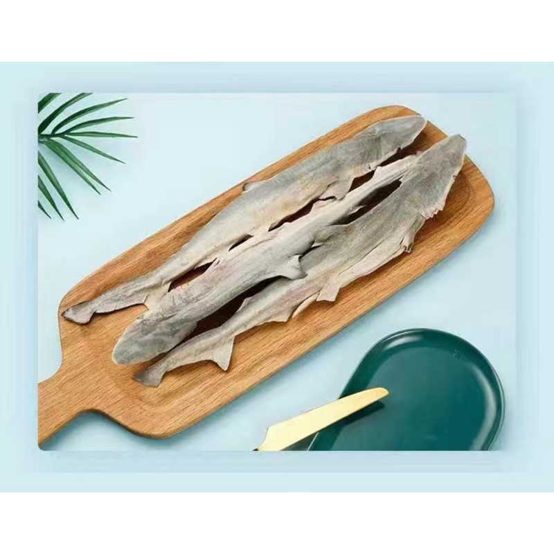 Cá mập sấy khô cho chó mèo