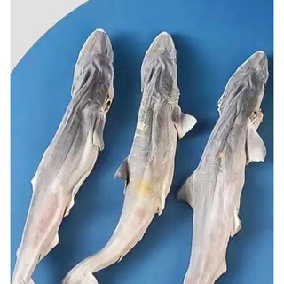 Cá mập sấy khô cho chó mèo