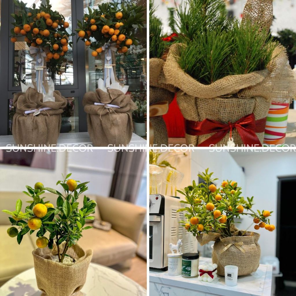 Túi Vải Bao Bố Túi Đay Trồng Cây Đựng Đồ Dùng Trang Trí Decor