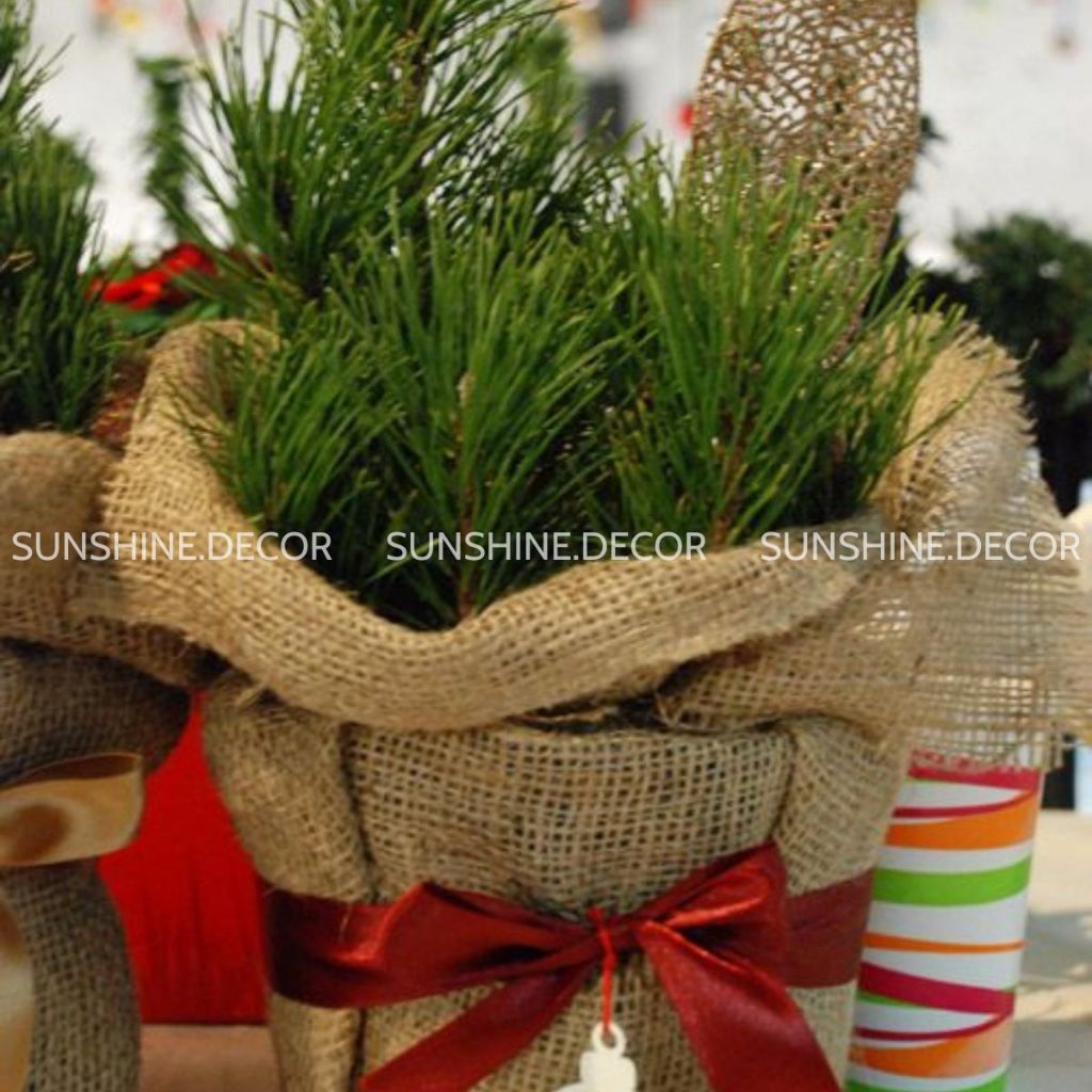 Túi Vải Bao Bố Túi Đay Trồng Cây Đựng Đồ Dùng Trang Trí Decor