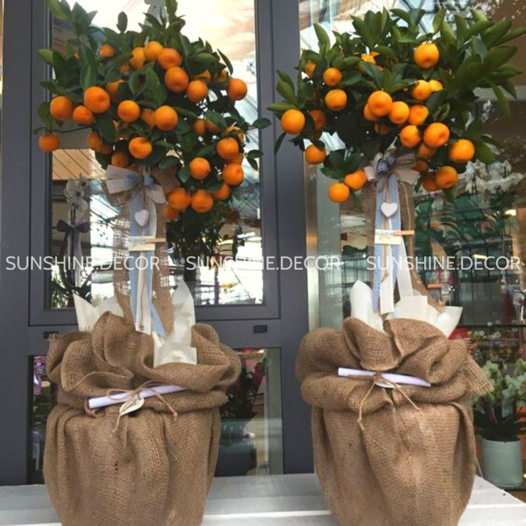 Túi Vải Bao Bố Túi Đay Trồng Cây Đựng Đồ Dùng Trang Trí Decor