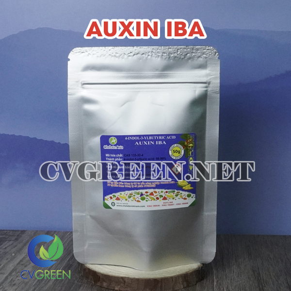 Siêu ra rễ auinx IBA 98% (kích rễ, kích chồi, không tan trong nước) gói 50g - Tặng kèm dung môi
