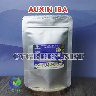 Siêu ra rễ auinx IBA 98% (kích rễ, kích chồi, không tan trong nước) gói 50g - Tặng kèm dung môi