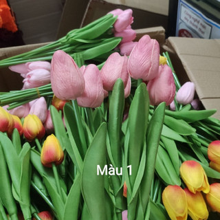Combo 10 Cành Hoa Tulip Màu Hot Trend, Bán Lẻ Hoa Tulip Bó Hoa VN98 Flowers Có Ship Hỏa Tốc TP.HCM