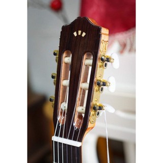 Guitar Cordoba Chính Hãng Đủ Mẫu Bán Chạy - Guitar Clasic Cao Cấp Tây Ban Nha được nhiều Guitarist tin dùng