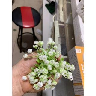 500g Cỏ điểm dùng trang trí giỏ quả, khay quả, bó hoa giấy. hoa sáp .hoa lụa