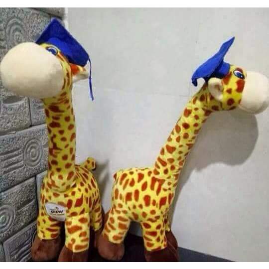 Gấu siêu mềm mịn cho bé yêu. Quà tặng Unidry