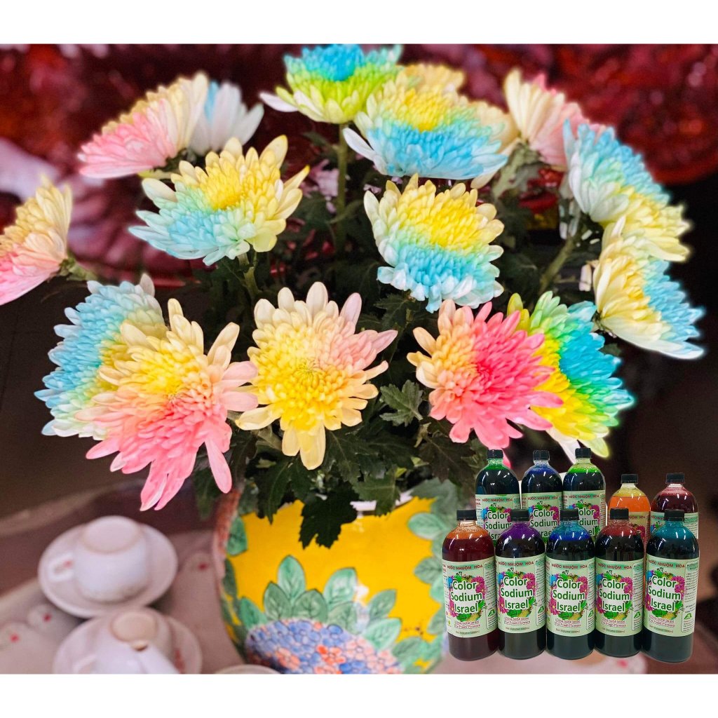 Thuốc nhuộm hoa tươi The Sodium Israel, màu nhuộm hoa tươi, nước nhuộm hoa chai 1 lít nhuộm hơn 250 cành