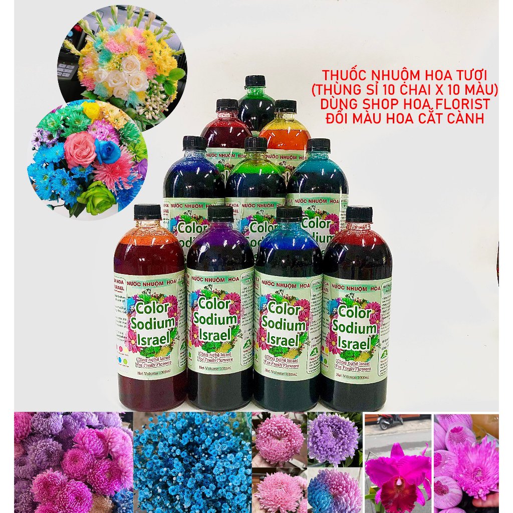 Thuốc nhuộm hoa tươi The Sodium Israel, màu nhuộm hoa tươi, nước nhuộm hoa chai 1 lít nhuộm hơn 250 cành