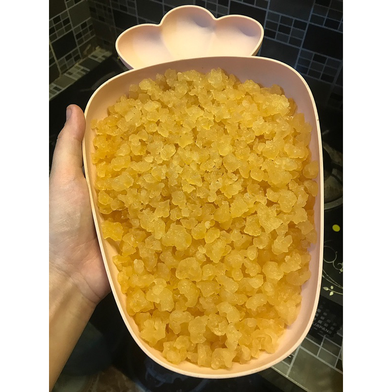 NẤM NƯỚC KEFIR GIỐNG TO THUẦN CHỦNG