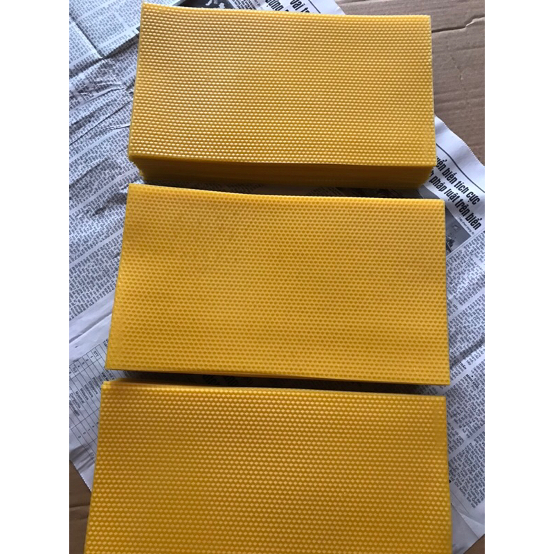 CHÂN TẦNG ONG NỘI