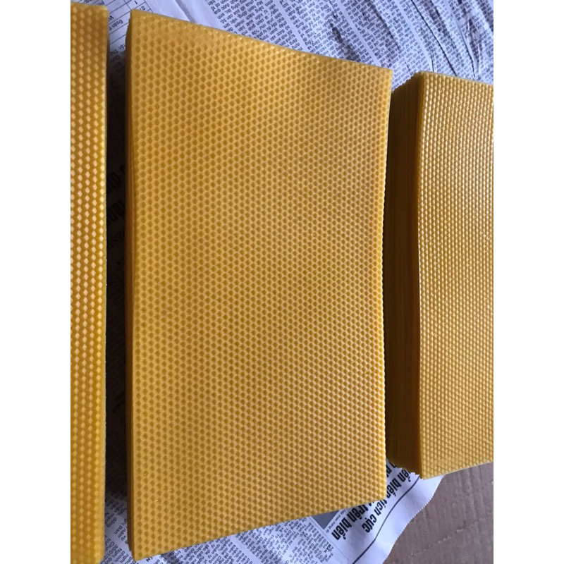 CHÂN TẦNG ONG NỘI