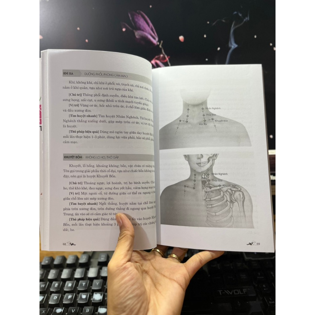 Sách - Massage - Kinh Lạc Huyệt Vị Toàn Thư