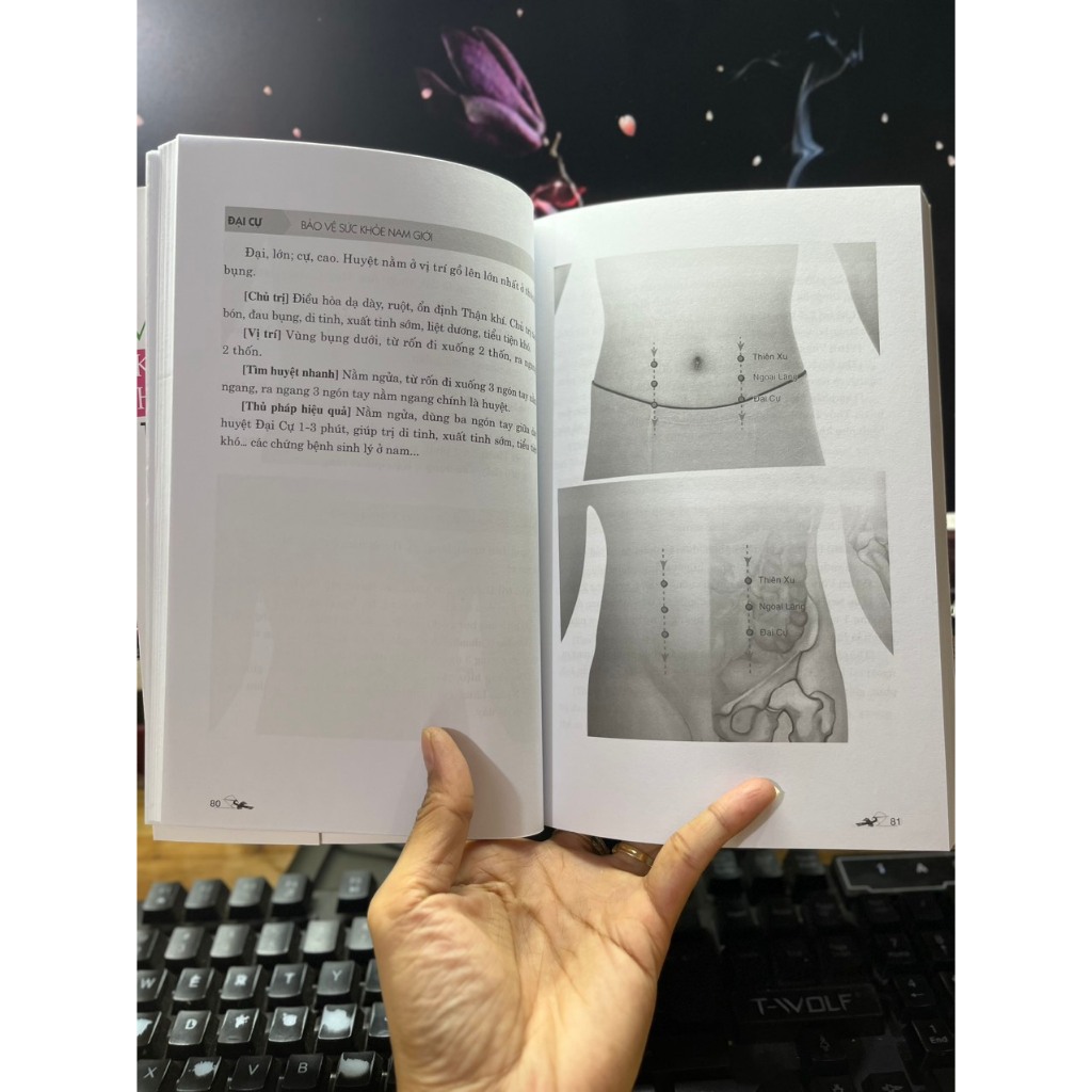 Sách - Massage - Kinh Lạc Huyệt Vị Toàn Thư