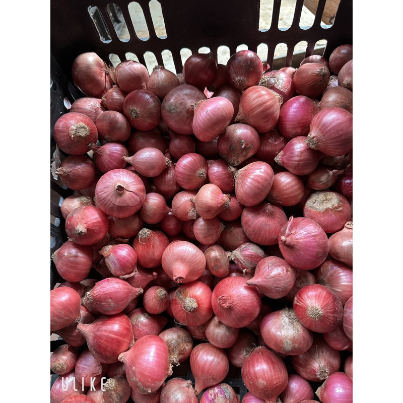 1 Kg hành tím cô đơn - Hành tím thơm ngon