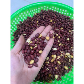 Hũ 200gr Lạc đỏ / đậu phộng đỏ rang sẵn