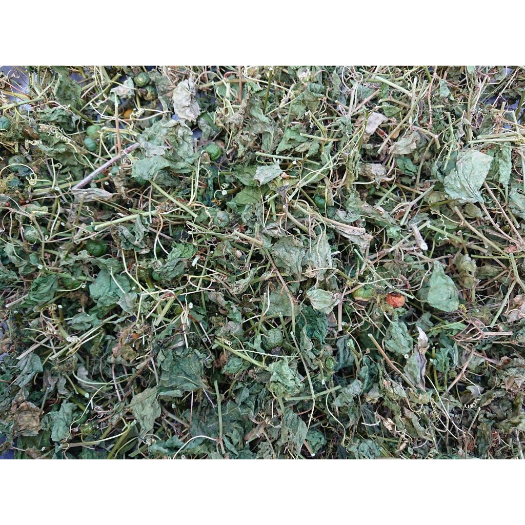 Cây Lạc Tiên khô