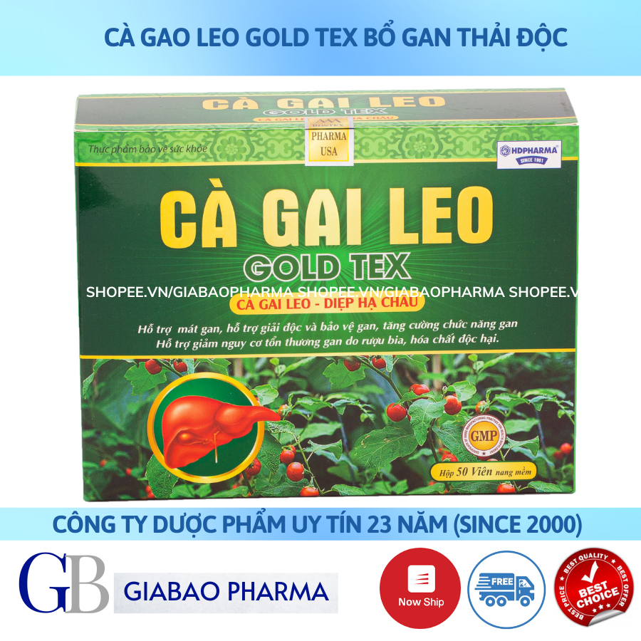 Bổ gan Cà Gai Leo GOLDTEX bảo vệ gan ,giải độc gan , hạ men gan, tăng cường chức năng gan - HỘP 50 viên ( Vỉ )
