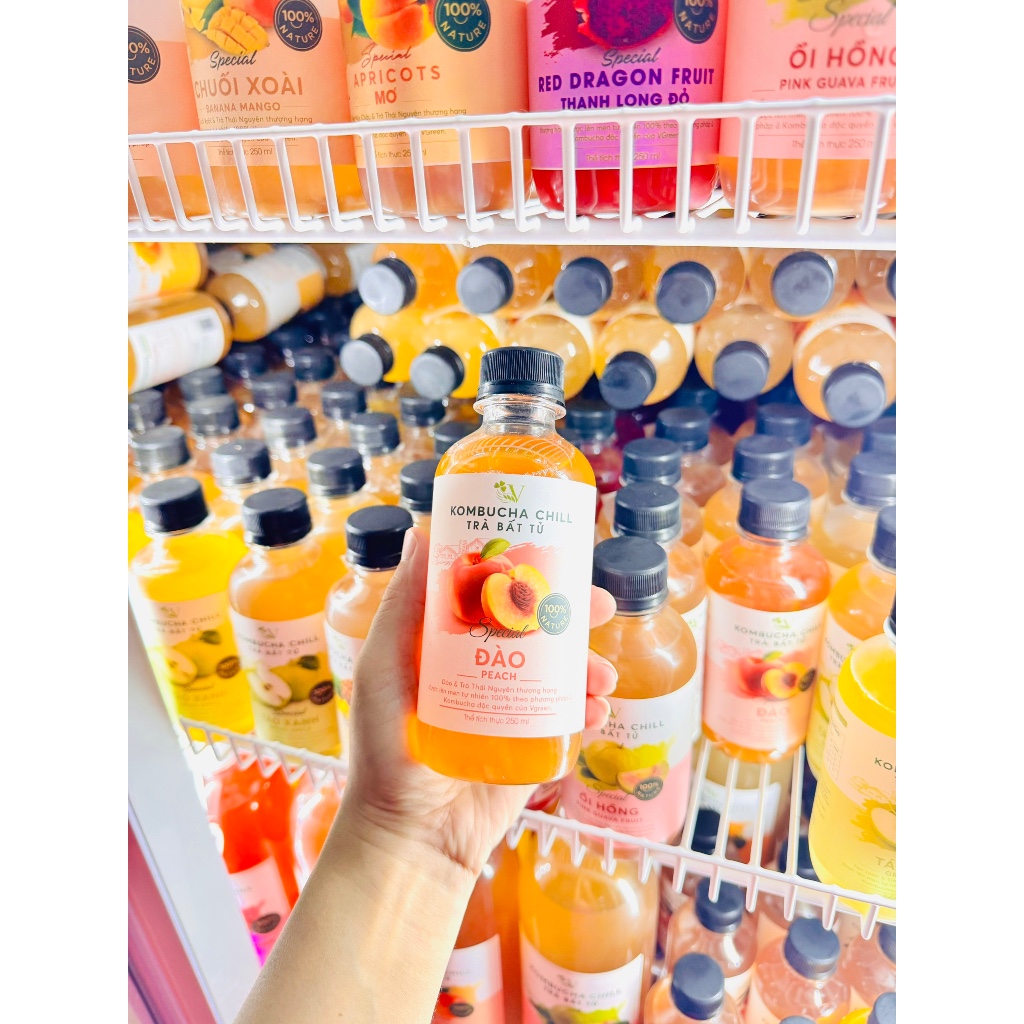 TRÀ VKOMBUCHA CHILL 250ml/chai