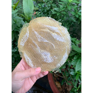 500gram khô cá bóng bò ép tròn loại 1 (tẩm vị mặn ngọt)