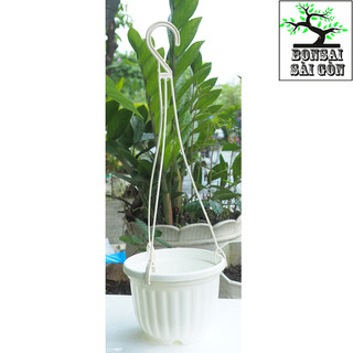 chậu treo bí mini size 11x8