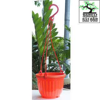 chậu treo bí mini size 11x8