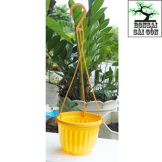 chậu treo bí mini size 11x8