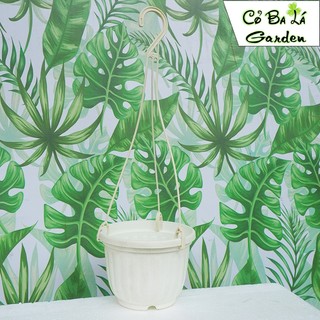 Chậu Treo hình quả bí (size nhỏ 11x8)
