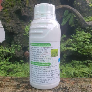 Men vi sinh Xử lý lúa cơi, lúa lộn,lúa ma phân hủy rơm rạ 500ml