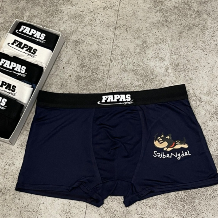 Combo quần sịp đùi nam boxer chất thun lạnh cao cấp dành cho nam hình FAPAS kéo dãn 4D diệt khuẩn cực tốt