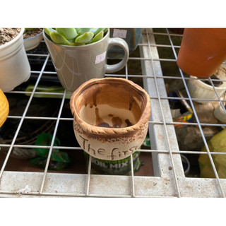 Chậu Gốm Trồng Sen Đá Thefitst