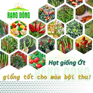 Combo các loại ớt - ớt xiêm, ớt sừng, ớt ấn độ, ớt chỉ thiên, ớt chỉ địa, ớt hiểm, ớt kiểng, ớt chuông