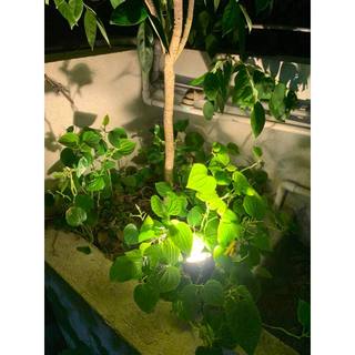 đèn sân vườn - đèn trang trí ngoài trời - đèn trang trí gốc cây,đèn trang trí nối đi