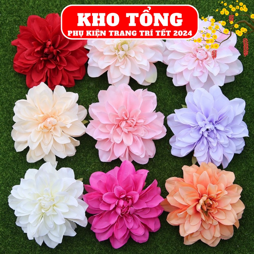 Đầu bông thược dược
