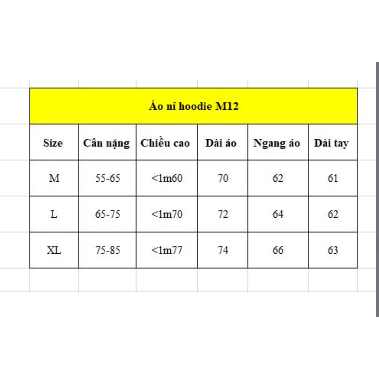 Áo Hoodie nỉ khoá kéo Rico M12