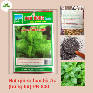 Hạt giống bạc hà âu (húng lũi) Phú Nông, 20gr, hạt chắc khỏe, tỉ lệ nẩy mầm >95% (Vườn Sài Gòn)