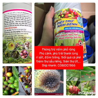 Diệt Trừ Nấm Bệnh 80SC 1lít Trừ nấm phổ rộng khô nhanh chặn đứng vết bệnh, chấm dứt thối cành, bẹ, rỉ sắt, thán thư