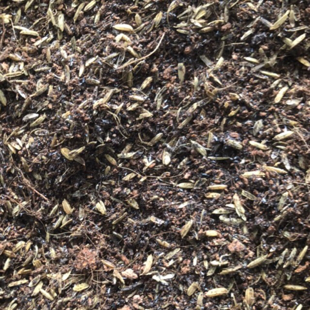 1kg Phân Trộn Trồng Cây