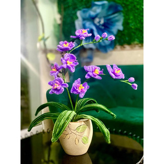 Cuộn Sáp cuốn cành