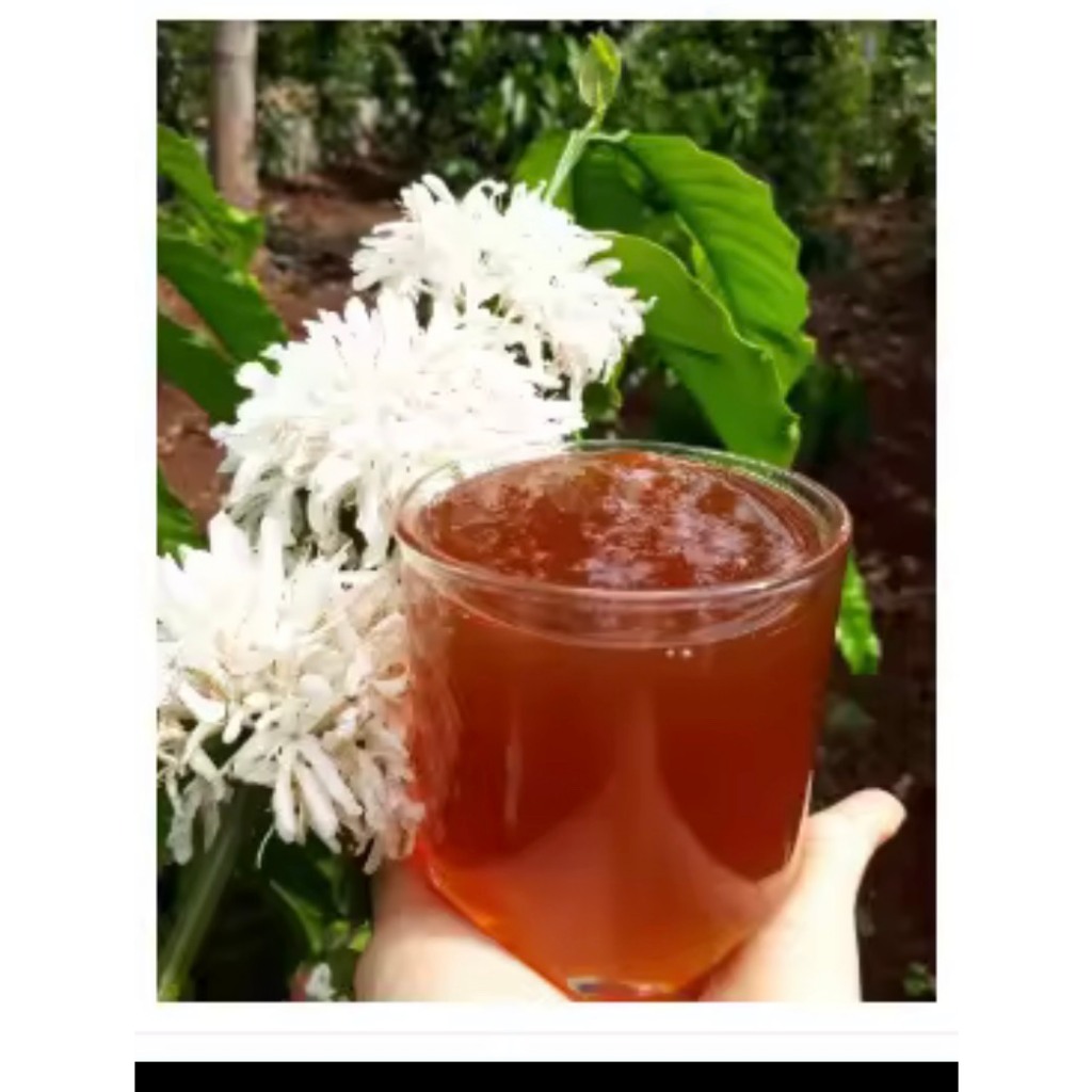 Mật ong Hoa Cà phê - Loại cao cấp dùng tốt- 2 LÍT = 2.8kg