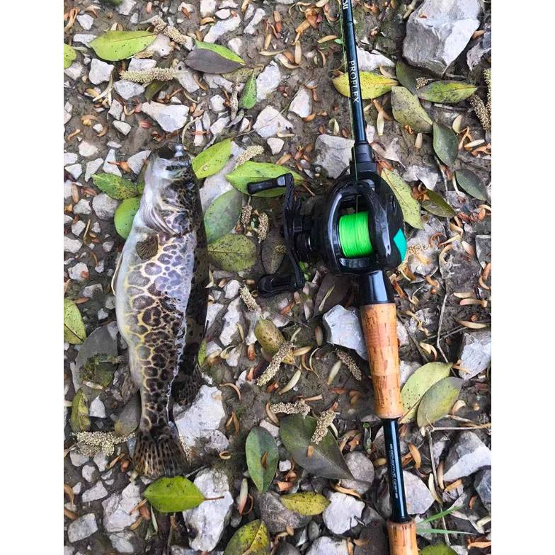 Máy ngang Tsurinoya Darkwolf dòng DF chuyên câu lure lóc, mú, vượt, chẽm