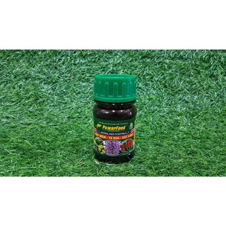 Powerfeed đạm cá hữu cơ không mùi phân bón cho hoa lan cây cảnh to hoa dày cánh mập thân chai 100ml