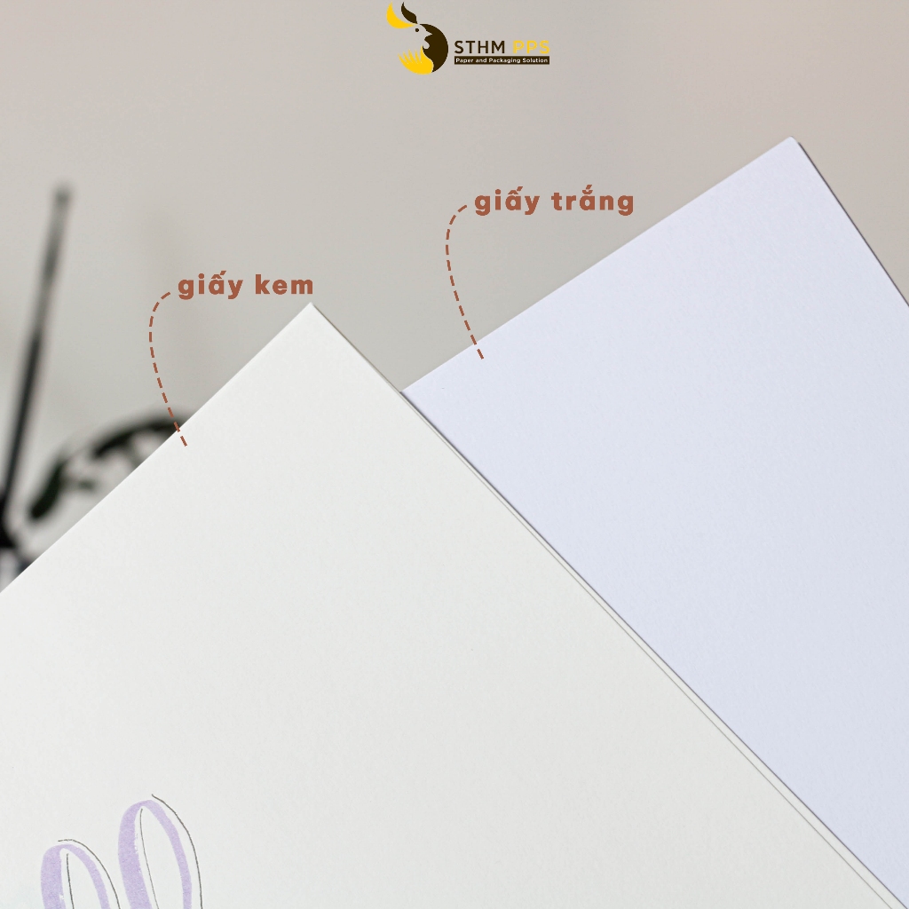 - 100 tờ giấy Ford Kem 80gsm, 100gsm - A4 A5 A6 cắt sẵn - Dùng in ấn, vẽ phác thảo, ghi chú - STHM
