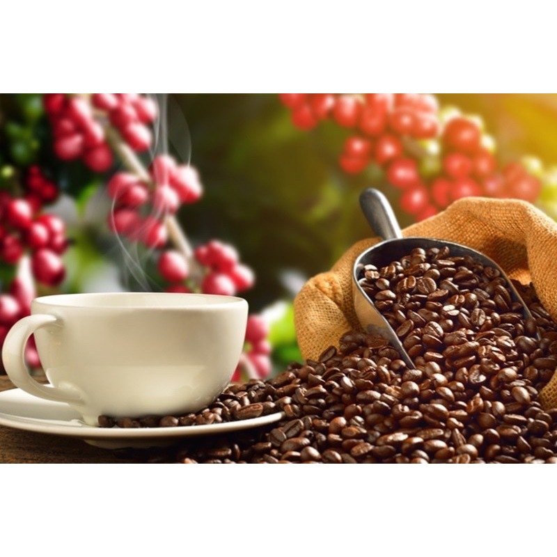 Cafe pha phin nguyên chất Đăk Lăk Hương Ban Mê loại đặc biệt - cafe Robusta & Arabica