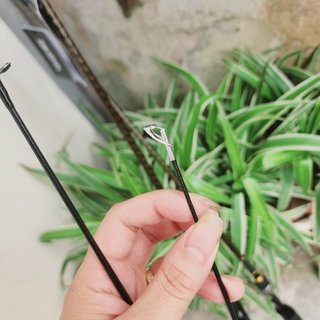  🔰 Cần Daiwa Daiwa AIRD X Chính Hãng Giá Siêu Tốt . 