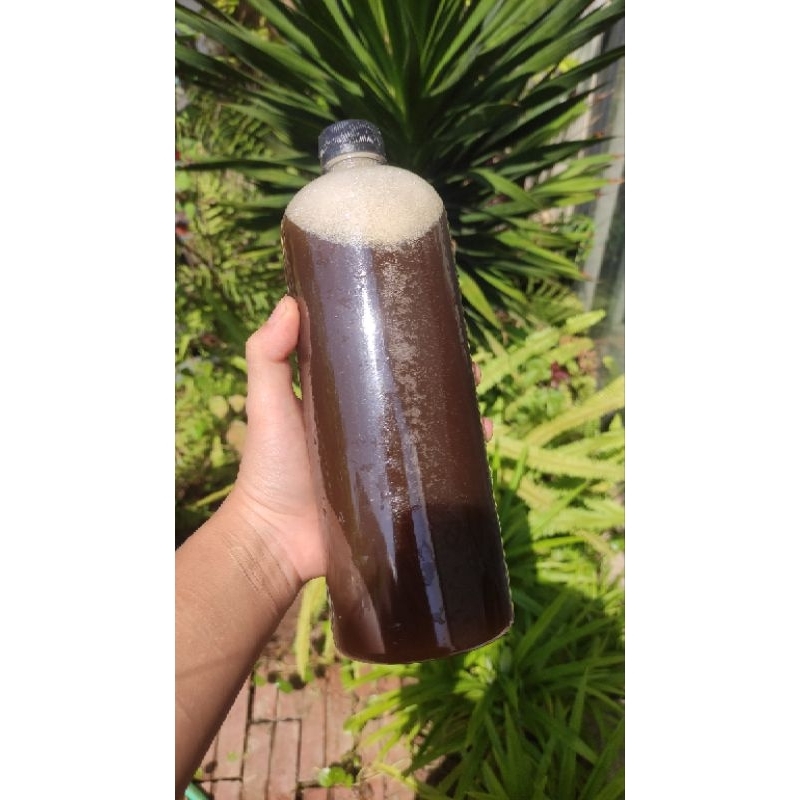 ENZYM BỒ KẾT LÊN MEN - Nước Gội Đầu Thảo Dược Lên Men - Không Chất Bảo Quản - Không Tạo Bọt Tạo Đặc