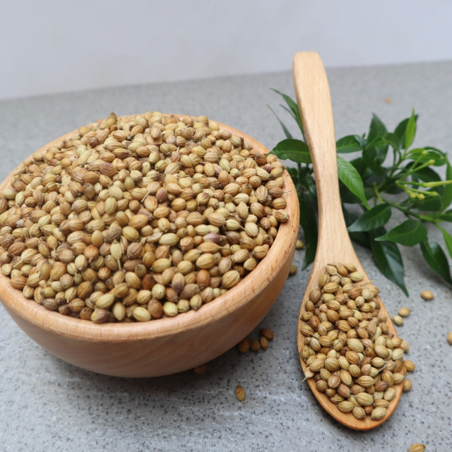 Hạt Ngò Trân Châu | hũ nhựa 25g, 100% từ tự nhiên