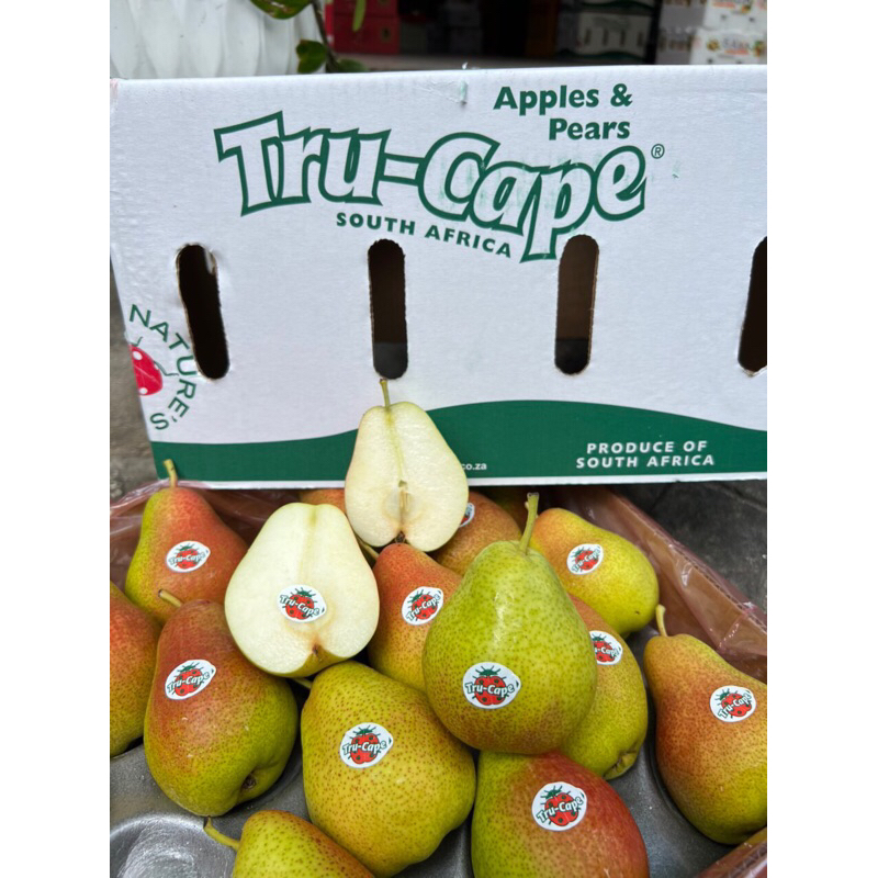 QUẢ LÊ NAM PHI 1kg GIÒN NGỌT (Trái cây nhập khẩu Q3