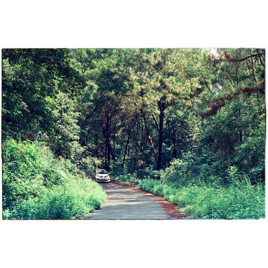 Film điện ảnh indate Kodak Vision 3 500T