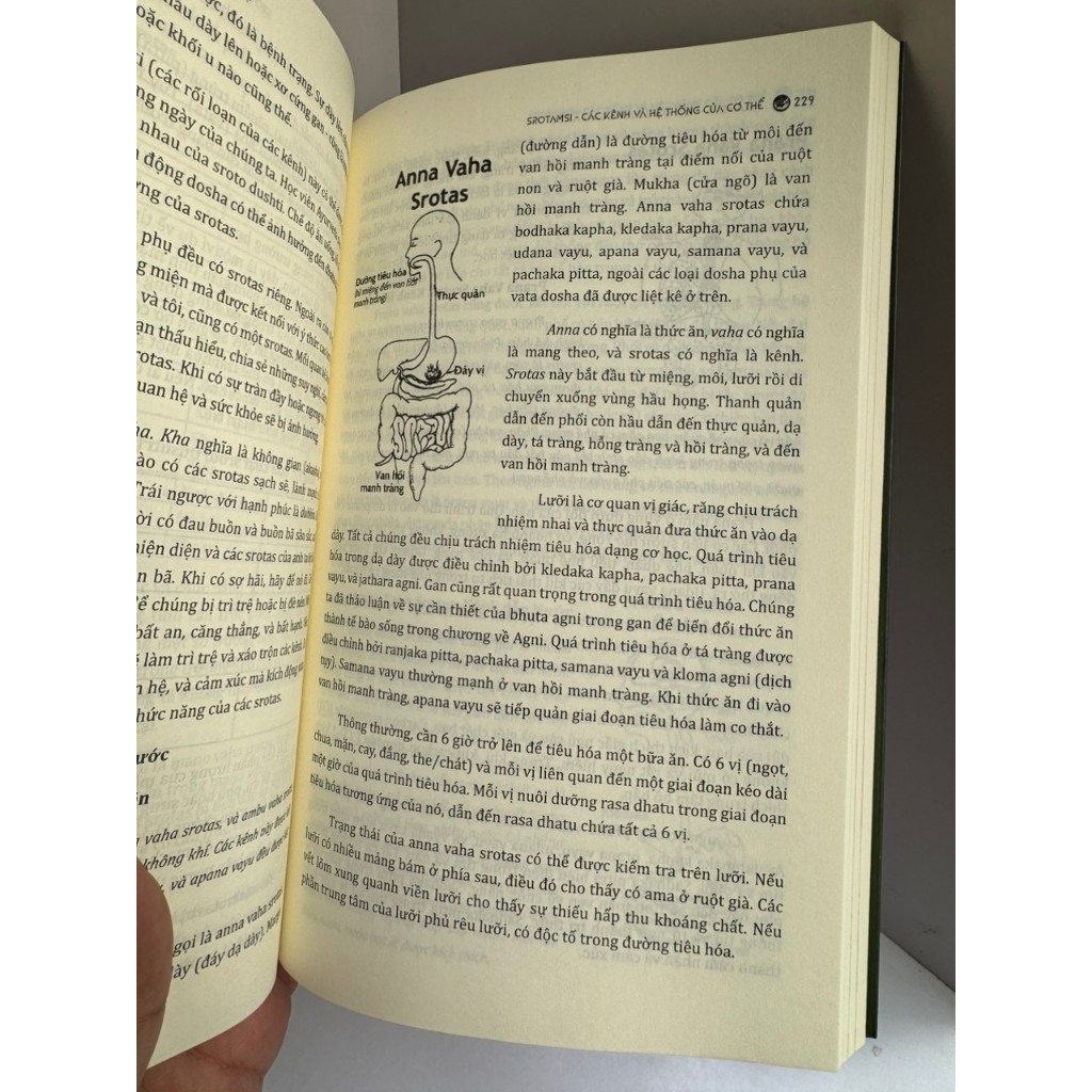 Sách - Ayurveda – Nền tảng dưỡng sinh Ấn Độ – Vasant Dattatray Lad - Sophia Ngo dịch –  Book Hunter